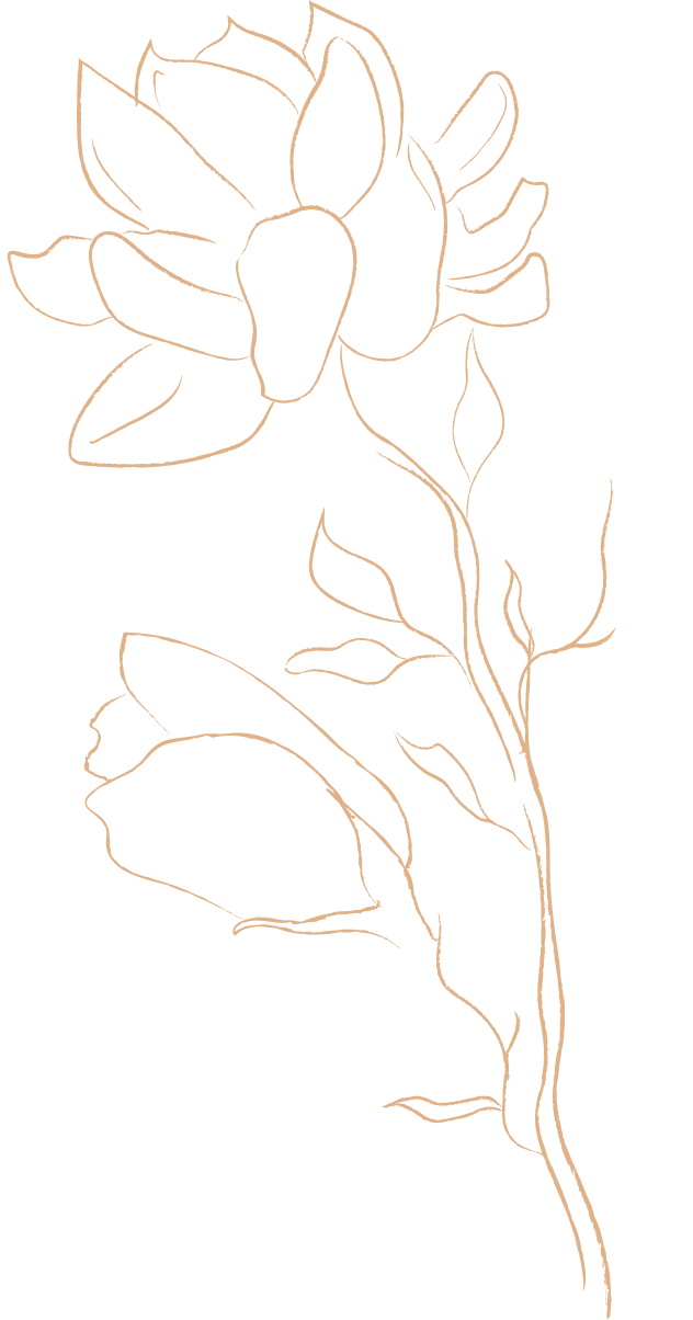 Vector Flower Image